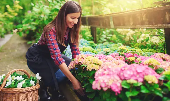 5 Steps to take before starting your own Gardening Business